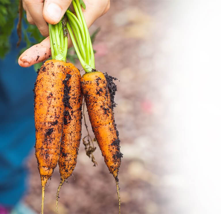 testimonial-one__bg-img-2