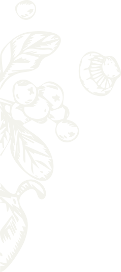 about-one-shape-11-rtl